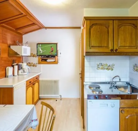 Scharzenberger Und Hinteregg Apartment Schladming